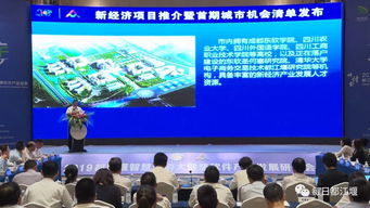 都江堰首批城市機(jī)會(huì)清單發(fā)布 智慧旅游與大健康產(chǎn)業(yè)融合發(fā)展新篇章